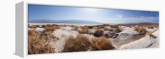 Panorama, USA, Death Valley National Park, Salt Creek-Catharina Lux-Framed Premier Image Canvas