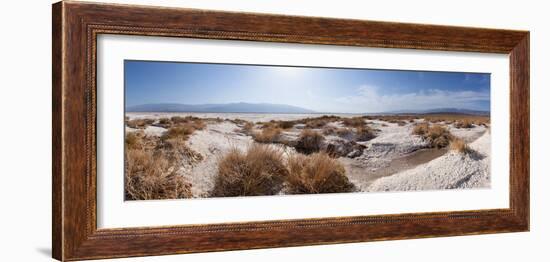 Panorama, USA, Death Valley National Park, Salt Creek-Catharina Lux-Framed Premium Photographic Print