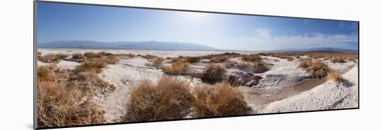 Panorama, USA, Death Valley National Park, Salt Creek-Catharina Lux-Mounted Photographic Print
