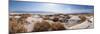 Panorama, USA, Death Valley National Park, Salt Creek-Catharina Lux-Mounted Photographic Print