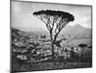 Photographic Print