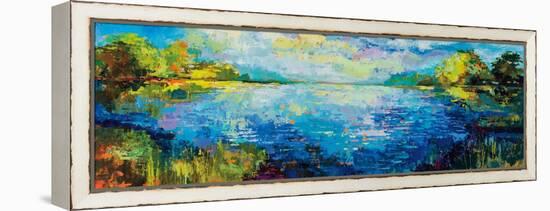 Panoramic Bliss-Jeanette Vertentes-Framed Stretched Canvas