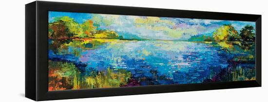 Panoramic Bliss-Jeanette Vertentes-Framed Stretched Canvas