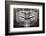 Panoramic Dental X-ray-null-Framed Photographic Print
