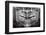 Panoramic Dental X-ray-null-Framed Photographic Print