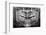 Panoramic Dental X-ray-null-Framed Photographic Print