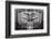 Panoramic Dental X-ray-null-Framed Photographic Print