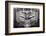 Panoramic Dental X-ray-null-Framed Photographic Print