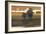 Panoramic Horizon II-Norman Wyatt Jr.-Framed Art Print