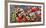 Panoramic image of frost on red berries.-Stuart Westmorland-Framed Photographic Print