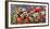 Panoramic image of frost on red berries.-Stuart Westmorland-Framed Photographic Print