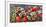 Panoramic image of frost on red berries.-Stuart Westmorland-Framed Photographic Print