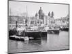 Photographic Print