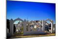 Photographic Print