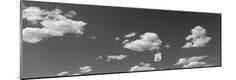 Photographic Print
