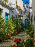 Flower Filled Alley in Frigiliana, Malaga Province, Andalucia, Spain-Panoramic Images-Photographic Print