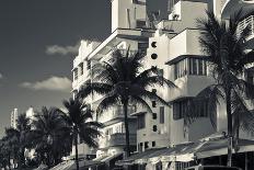 Palm trees in front of art Deco hotels, Ocean Drive, South Beach, Miami Beach, Miami-Dade County...-Panoramic Images-Photographic Print