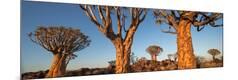 Photographic Print