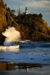 Volleyball nets on the beach, Cannon Beach, Oregon, USA-Panoramic Images-Photographic Print