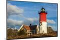 Photographic Print