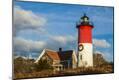 Photographic Print