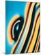Premium Photographic Print