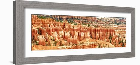Panoramic Landscape - Bryce Amphitheater - Utah - Bryce Canyon National Park - United States-Philippe Hugonnard-Framed Photographic Print
