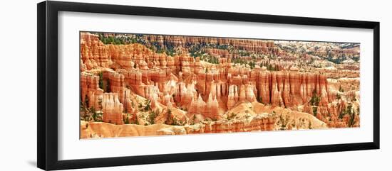 Panoramic Landscape - Bryce Amphitheater - Utah - Bryce Canyon National Park - United States-Philippe Hugonnard-Framed Photographic Print