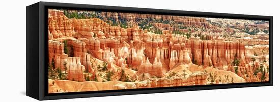 Panoramic Landscape - Bryce Amphitheater - Utah - Bryce Canyon National Park - United States-Philippe Hugonnard-Framed Premier Image Canvas