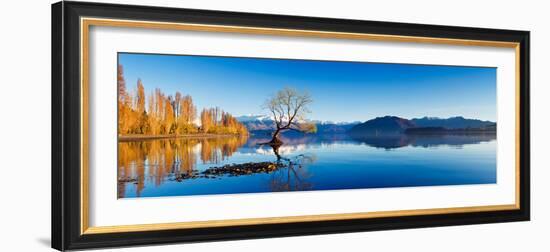 Panoramic Landscape Photograph of the Lone Tree at Lake Wanaka in the South Island of New Zealand.-null-Framed Photographic Print