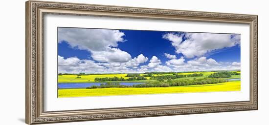 Panoramic Landscape Prairie View of Canola Field and Lake in Saskatchewan, Canada-elenathewise-Framed Photographic Print