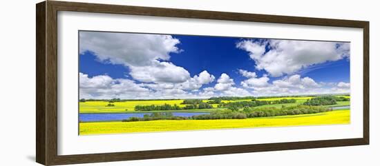 Panoramic Landscape Prairie View of Canola Field and Lake in Saskatchewan, Canada-elenathewise-Framed Photographic Print
