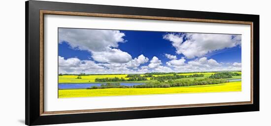 Panoramic Landscape Prairie View of Canola Field and Lake in Saskatchewan, Canada-elenathewise-Framed Photographic Print