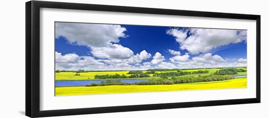 Panoramic Landscape Prairie View of Canola Field and Lake in Saskatchewan, Canada-elenathewise-Framed Photographic Print