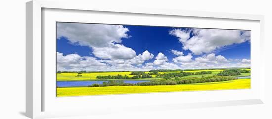 Panoramic Landscape Prairie View of Canola Field and Lake in Saskatchewan, Canada-elenathewise-Framed Photographic Print