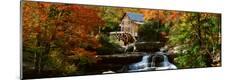 Premium Photographic Print