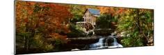 Photographic Print