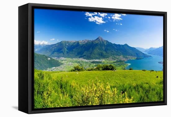 Panoramic of Monte Legnone and Alto Lario from flowering meadows above Lake Como-Roberto Moiola-Framed Premier Image Canvas