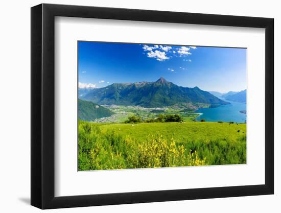 Panoramic of Monte Legnone and Alto Lario from flowering meadows above Lake Como-Roberto Moiola-Framed Photographic Print