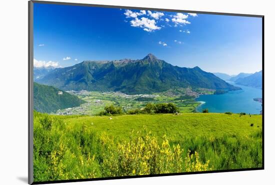 Panoramic of Monte Legnone and Alto Lario from flowering meadows above Lake Como-Roberto Moiola-Mounted Photographic Print