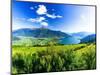 Panoramic of Monte Legnone and Alto Lario from green meadows above Lake Como-Roberto Moiola-Mounted Photographic Print