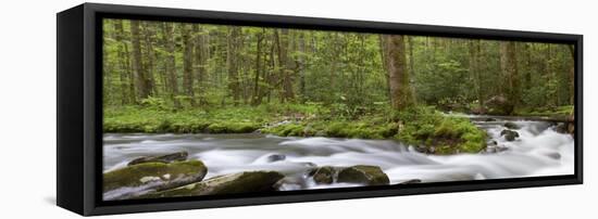 Panoramic of Straight Fork Creek in Spring, Great Smoky Mountains National Park, North Carolin-Richard and Susan Day-Framed Premier Image Canvas