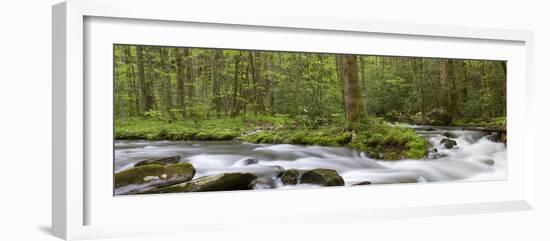 Panoramic of Straight Fork Creek in Spring, Great Smoky Mountains National Park, North Carolin-Richard and Susan Day-Framed Photographic Print