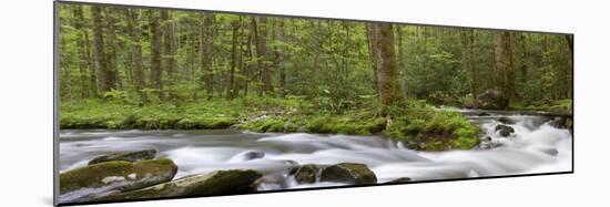 Panoramic of Straight Fork Creek in Spring, Great Smoky Mountains National Park, North Carolin-Richard and Susan Day-Mounted Photographic Print