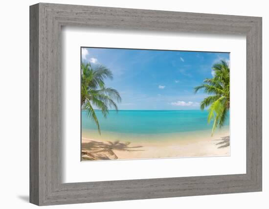 Panoramic Tropical Beach with Coconut Palm-Hydromet-Framed Photographic Print