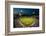 Panoramic view of 29,183 baseball fans at Citizens Bank Park, Philadelphia, PA, who are watching...-null-Framed Photographic Print