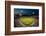 Panoramic view of 29,183 baseball fans at Citizens Bank Park, Philadelphia, PA, who are watching...-null-Framed Photographic Print