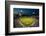 Panoramic view of 29,183 baseball fans at Citizens Bank Park, Philadelphia, PA, who are watching...-null-Framed Photographic Print