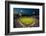 Panoramic view of 29,183 baseball fans at Citizens Bank Park, Philadelphia, PA, who are watching...-null-Framed Photographic Print