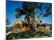 Premium Photographic Print